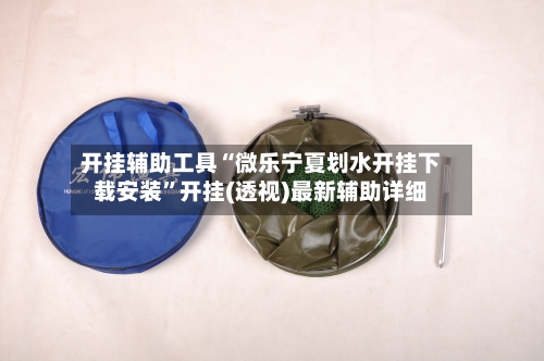 开挂辅助工具“微乐宁夏划水开挂下载安装	”开挂(透视)最新辅助详细-第2张图片