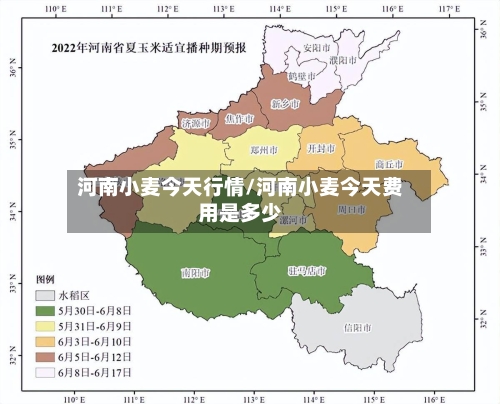 河南小麦今天行情/河南小麦今天费用是多少