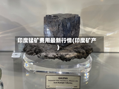 印度锰矿费用最新行情(印度矿产)-第2张图片