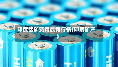 印度锰矿费用最新行情(印度矿产)