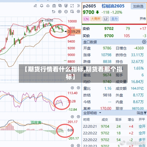 【期货行情看什么指标,期货看那个指标】