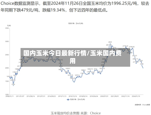 国内玉米今日最新行情/玉米国内费用-第2张图片
