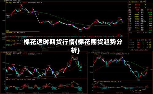 棉花适时期货行情(棉花期货趋势分析)-第2张图片