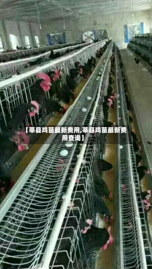 【莘县鸡苗最新费用,莘县鸡苗最新费用查询】
