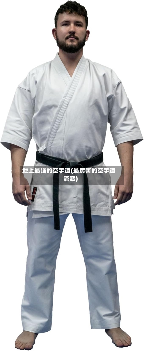 地上最强的空手道(最厉害的空手道流派)-第3张图片