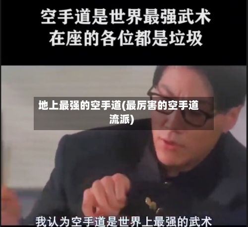 地上最强的空手道(最厉害的空手道流派)-第2张图片