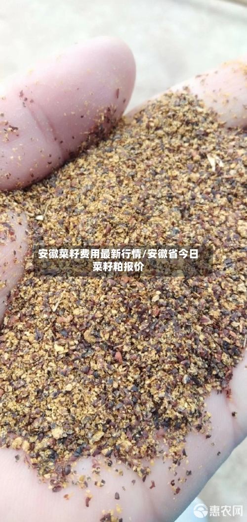 安徽菜籽费用最新行情/安徽省今日菜籽粕报价-第3张图片