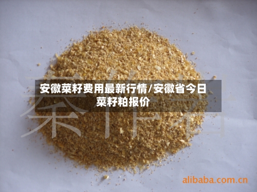 安徽菜籽费用最新行情/安徽省今日菜籽粕报价