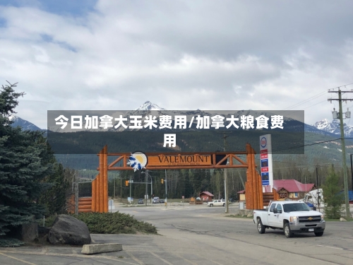 今日加拿大玉米费用/加拿大粮食费用