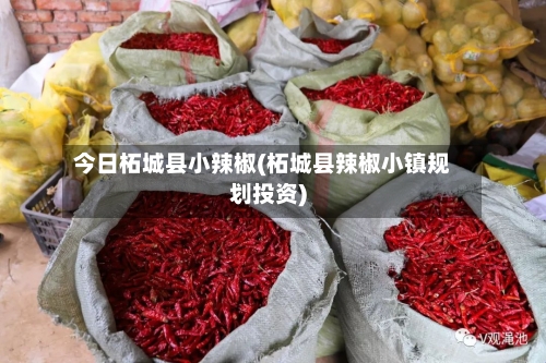 今日柘城县小辣椒(柘城县辣椒小镇规划投资)-第2张图片