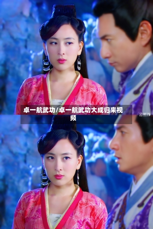 卓一航武功/卓一航武功大成归来视频-第2张图片