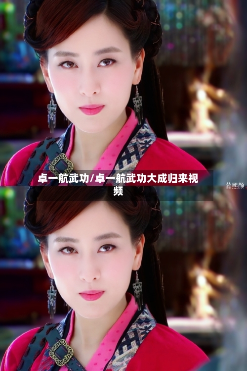 卓一航武功/卓一航武功大成归来视频