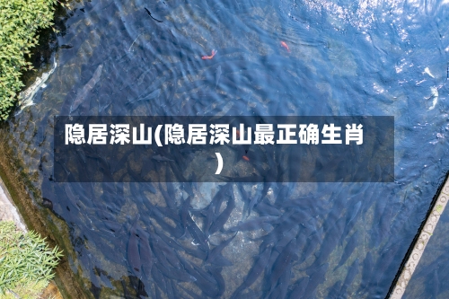 隐居深山(隐居深山最正确生肖)