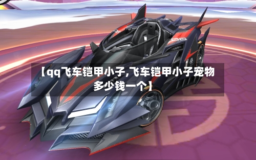 【qq飞车铠甲小子,飞车铠甲小子宠物多少钱一个】