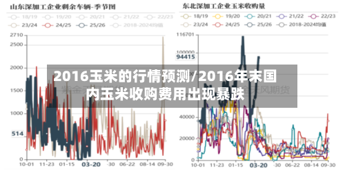 2016玉米的行情预测/2016年末国内玉米收购费用出现暴跌-第2张图片