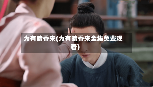 为有暗香来(为有暗香来全集免费观看)