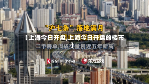 【上海今日开盘,上海今日开盘的楼市】-第2张图片