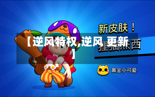 【逆风特权,逆风 更新】-第2张图片