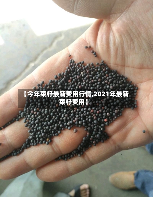 【今年菜籽最新费用行情,2021年最新菜籽费用】