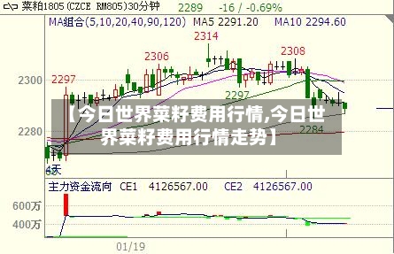 【今日世界菜籽费用行情,今日世界菜籽费用行情走势】-第3张图片