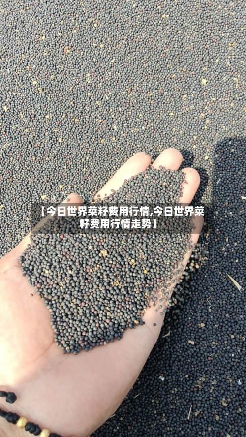 【今日世界菜籽费用行情,今日世界菜籽费用行情走势】