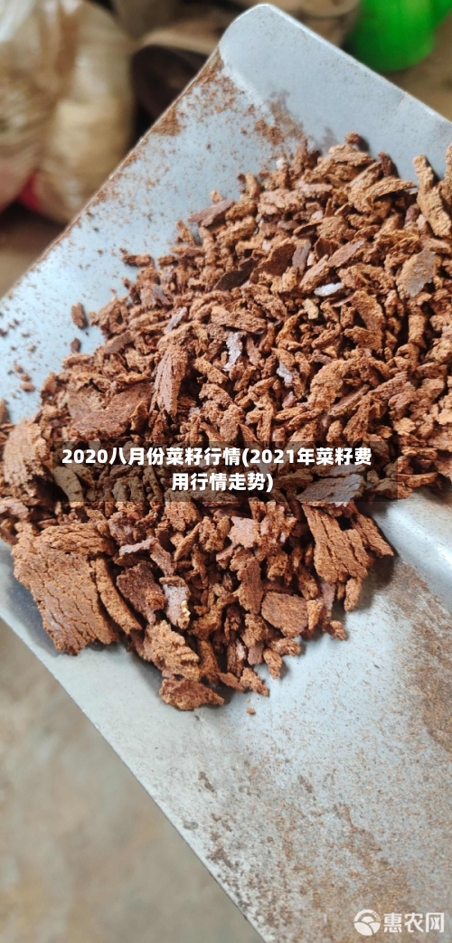 2020八月份菜籽行情(2021年菜籽费用行情走势)