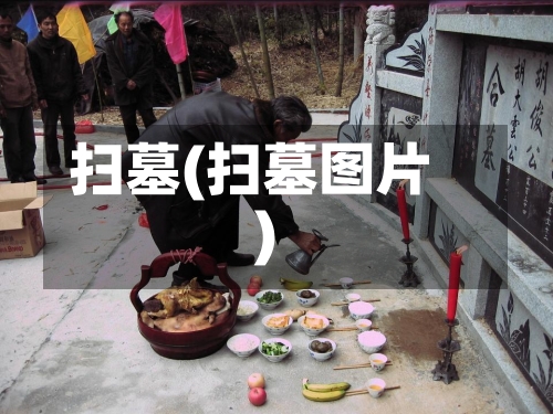 扫墓(扫墓图片)