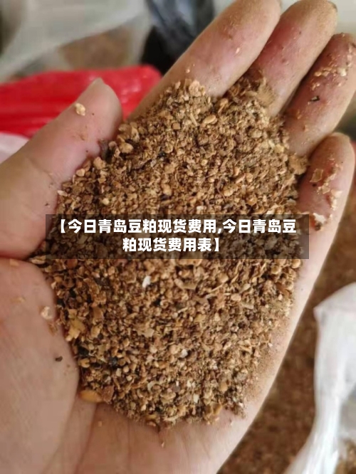 【今日青岛豆粕现货费用,今日青岛豆粕现货费用表】-第2张图片