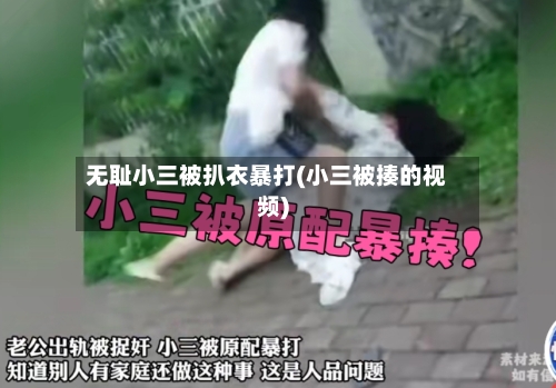 无耻小三被扒衣暴打(小三被揍的视频)