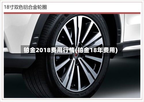 铂金2018费用行情(铂金18年费用)