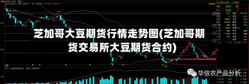 芝加哥大豆期货行情走势图(芝加哥期货交易所大豆期货合约)-第2张图片