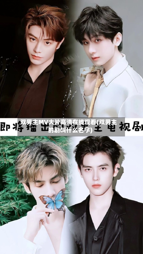 双男主MV大片高清在线观看(双男主的剧叫什么名字)