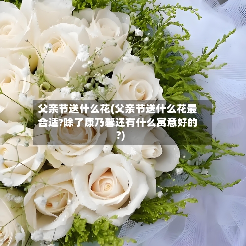 父亲节送什么花(父亲节送什么花最合适?除了康乃馨还有什么寓意好的?)-第2张图片