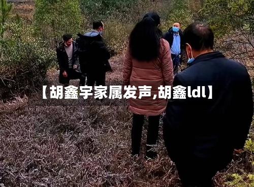 【胡鑫宇家属发声,胡鑫ldl】-第2张图片