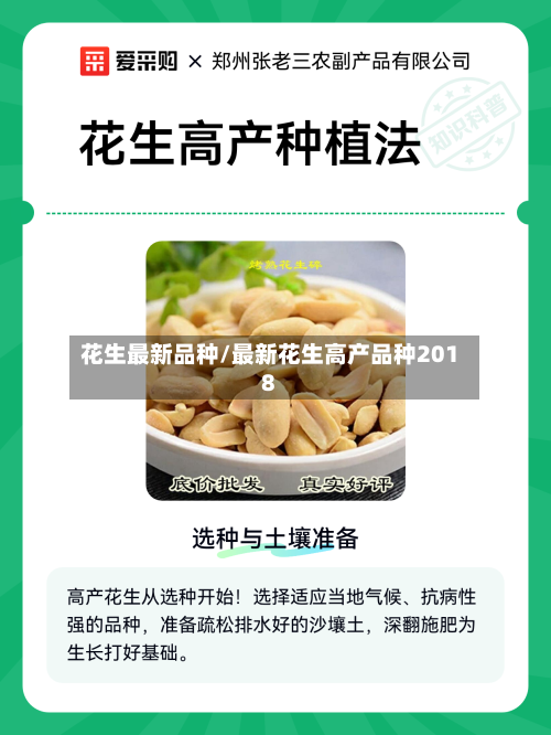 花生最新品种/最新花生高产品种2018