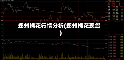 郑州棉花行情分析(郑州棉花现货)-第2张图片