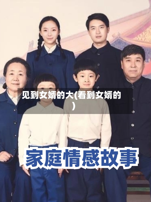 见到女婿的大(看到女婿的)