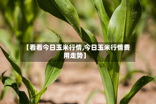 【看看今日玉米行情,今日玉米行情费用走势】-第2张图片