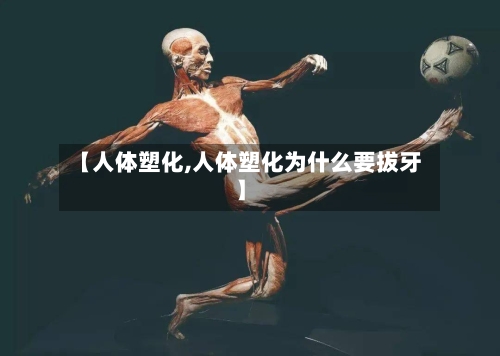 【人体塑化,人体塑化为什么要拔牙】-第2张图片