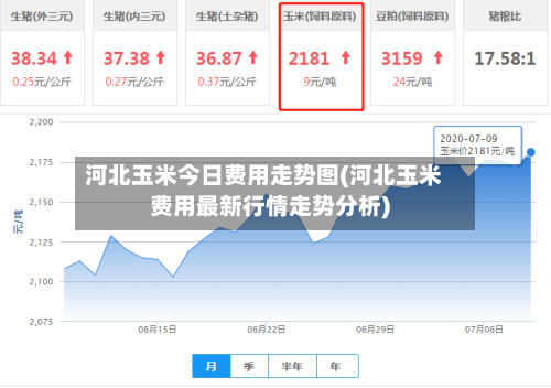 河北玉米今日费用走势图(河北玉米费用最新行情走势分析)-第3张图片