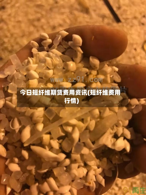 今日短纤维期货费用资讯(短纤维费用行情)-第2张图片