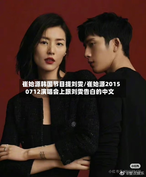 崔始源韩国节目提刘雯/崔始源20150712演唱会上跟刘雯告白的中文