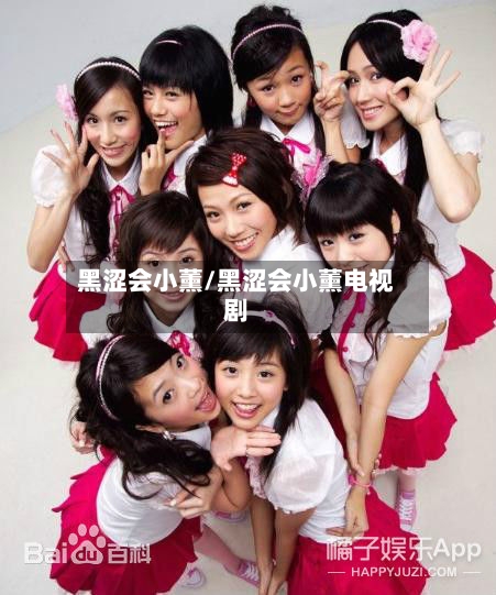 黑涩会小薰/黑涩会小薰电视剧-第2张图片