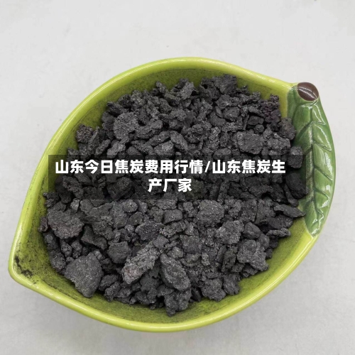 山东今日焦炭费用行情/山东焦炭生产厂家