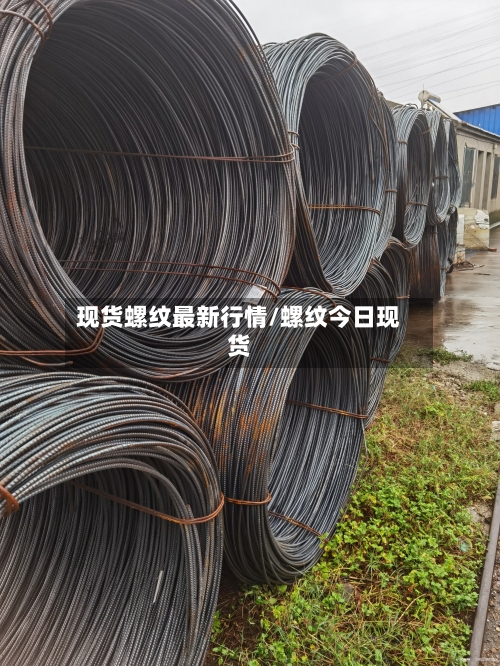现货螺纹最新行情/螺纹今日现货