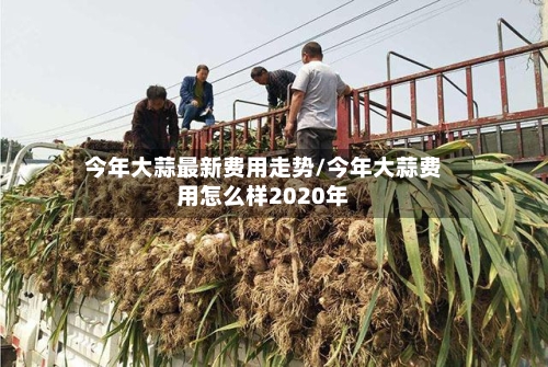 今年大蒜最新费用走势/今年大蒜费用怎么样2020年-第2张图片