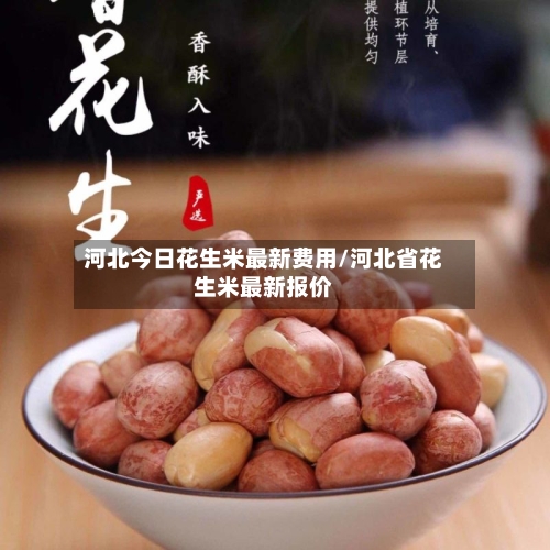 河北今日花生米最新费用/河北省花生米最新报价