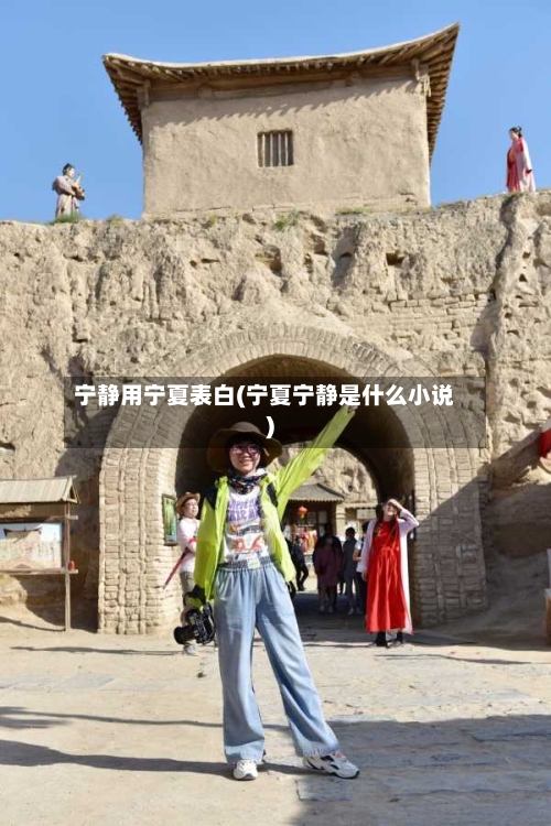 宁静用宁夏表白(宁夏宁静是什么小说)-第2张图片