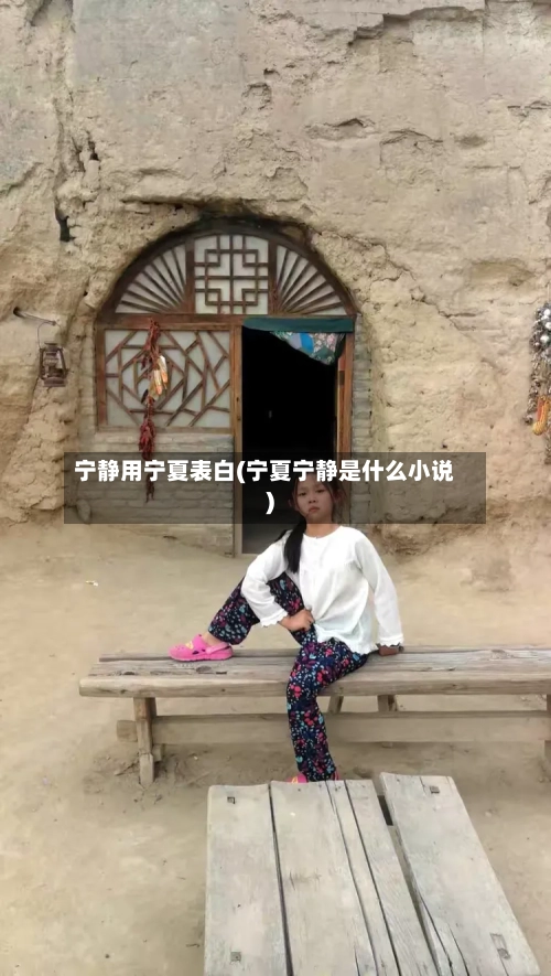 宁静用宁夏表白(宁夏宁静是什么小说)-第3张图片