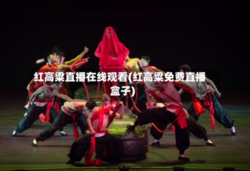 红高粱直播在线观看(红高粱免费直播盒子)-第3张图片